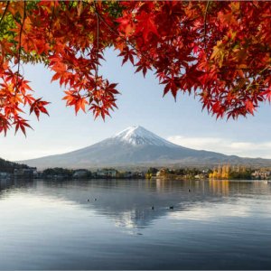 profile avatar image