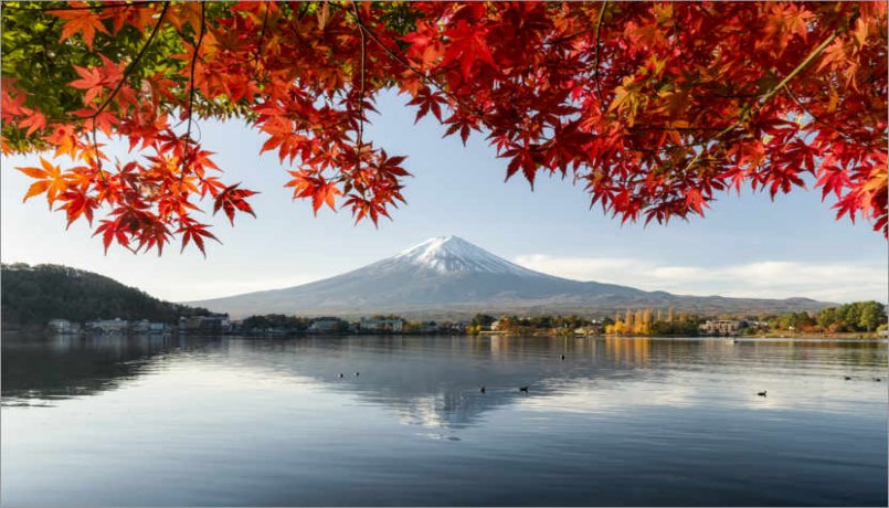 rotating banner image